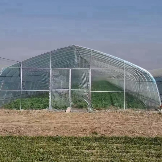 天津种植蔬菜大棚