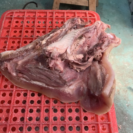 清真牛嘴巴