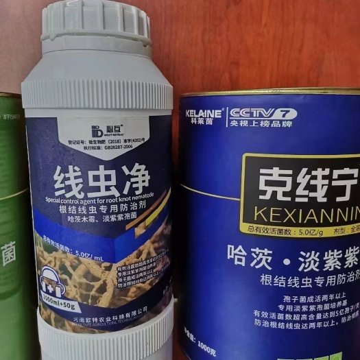 郑州线虫