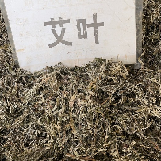 玉林批发零售中药材 一斤起发 艾叶 新货艾叶 量大从优 一件代发