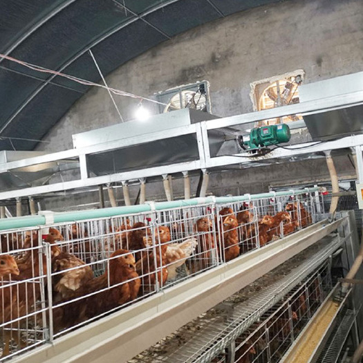 荥阳市多种规格笼养蛋鸡给料机 养鸡设备自动化喂料省心省力