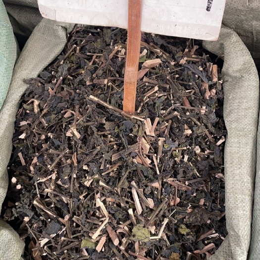 玉林大青葉新貨 批發(fā)零售中藥材 一斤起發(fā) 量大從優(yōu) 一件代發(fā)