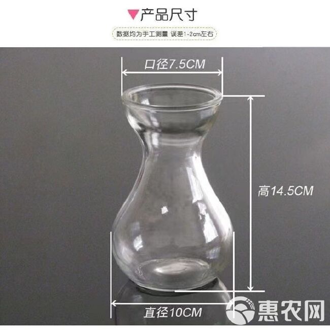 T 风信子玻璃瓶 透明水培容器水仙花瓶玻璃水培插花植物花瓶