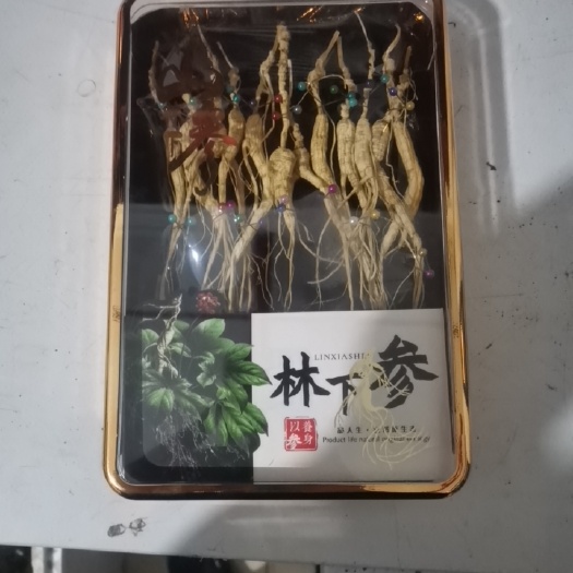 集安市林下参