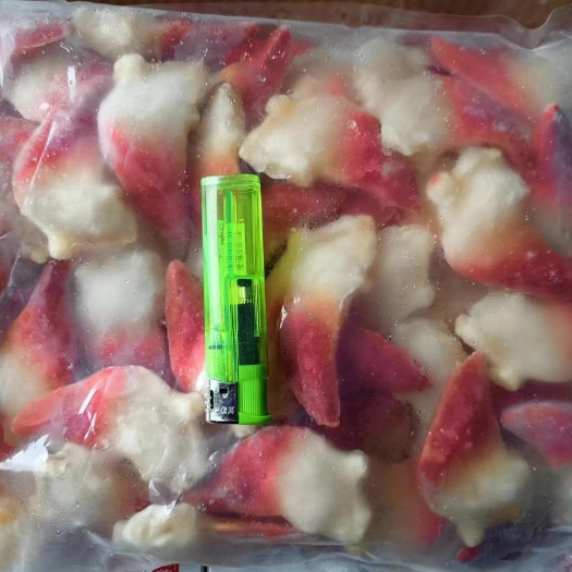 成都加拿大北极贝