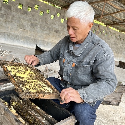 新丰县天然蜂蜜，自家自产自销的蜂蜜，农村家养蜂，荔枝树