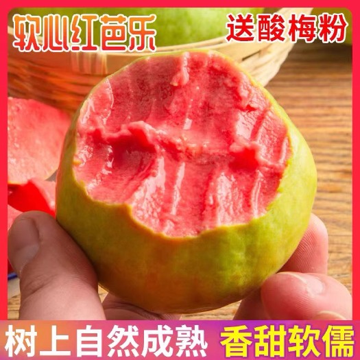 汕头树上熟 广东潮汕当季红心芭乐软心番石榴5斤软糯香甜整箱包邮