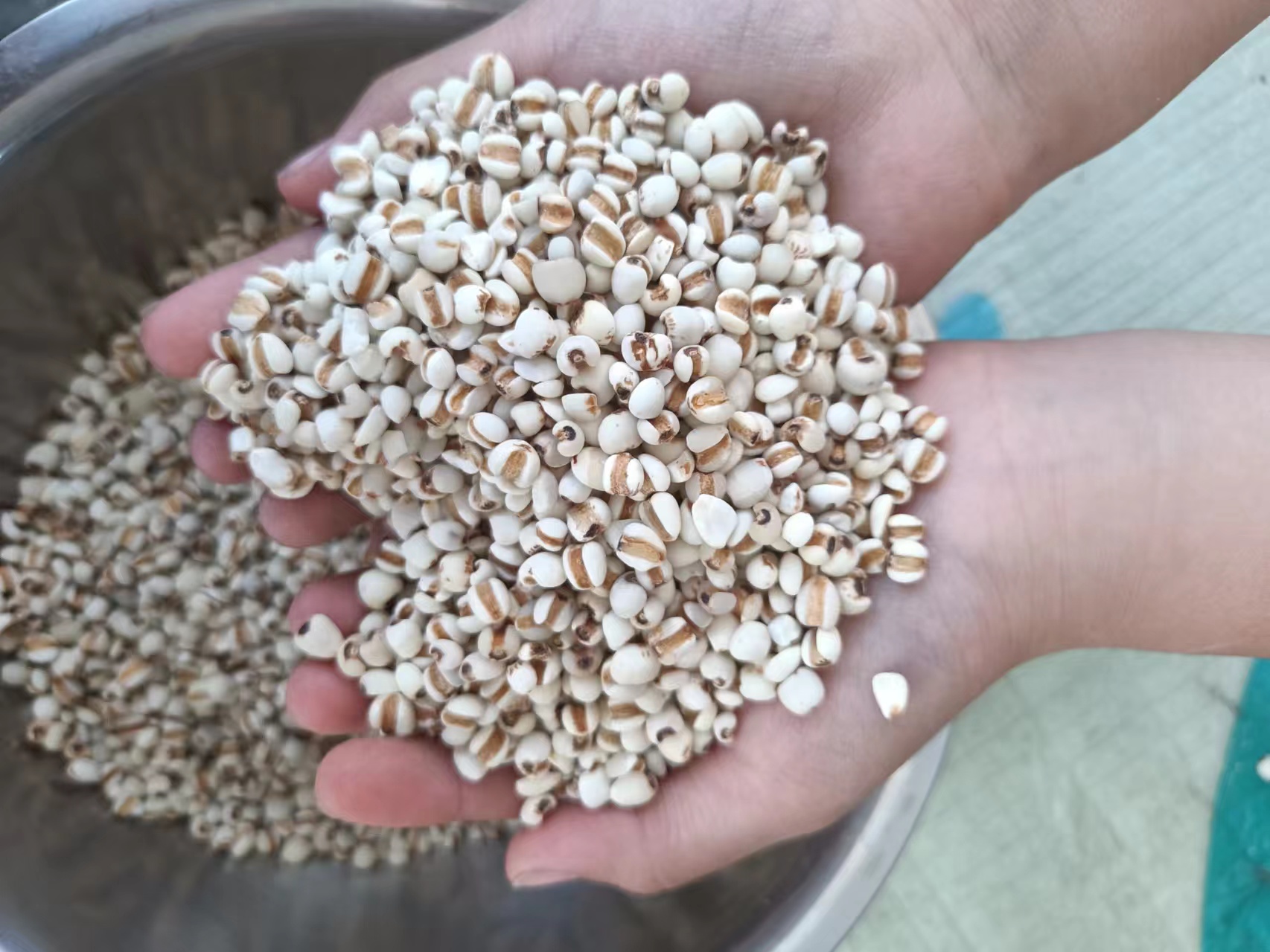 沁源县小粒薏米，产地直销，量大优惠保质保量