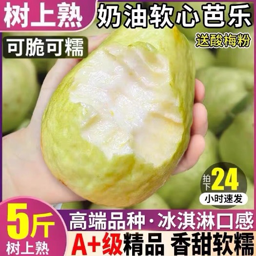 汕头树上熟 当季黄金奶油芭乐白心番石榴5斤软糯香甜新鲜水果整箱