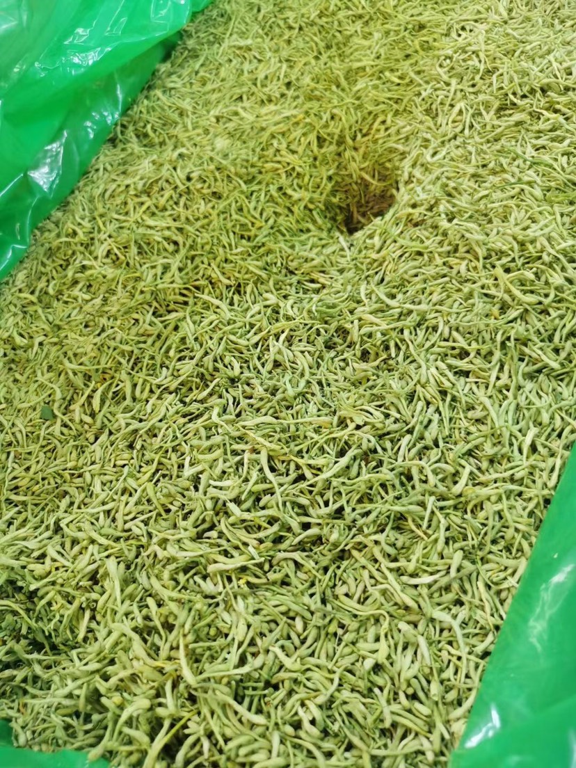 新货金银花 河北货茶饮花   绿花