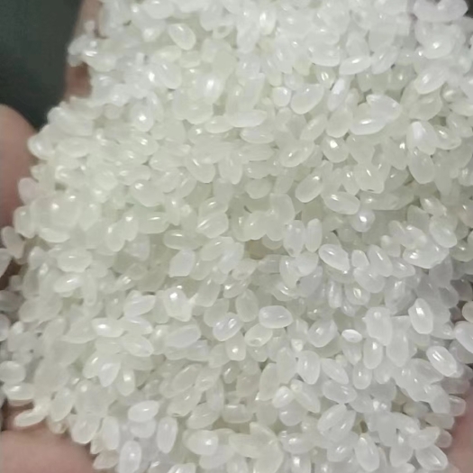 佳木斯珍珠米