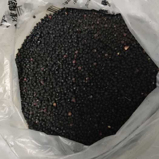 高脂肪红花椒籽，茂县大红袍，好货