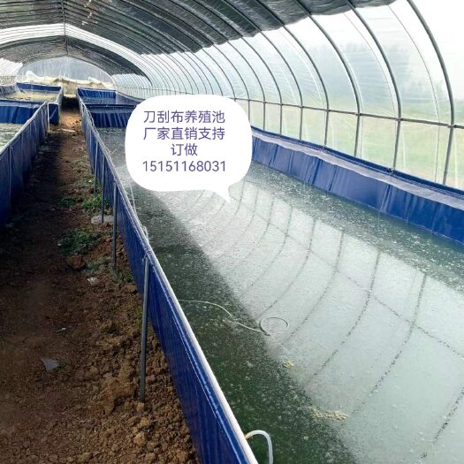 宿迁刀刮布水蛭养殖池，泥鳅养殖池