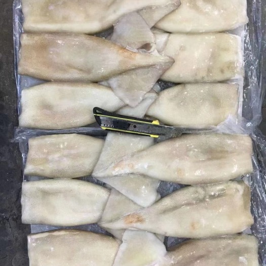深圳鱿鱼筒
