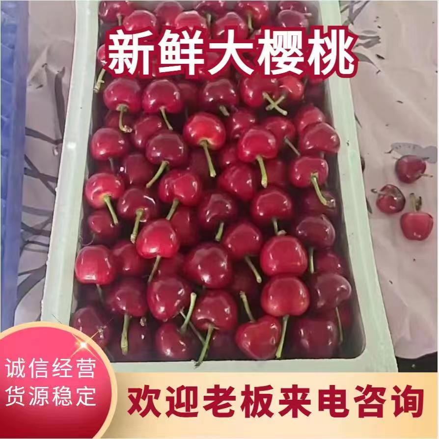 （严选）山东大樱桃 美早 红灯 布鲁克斯产地直发 坏烂包赔