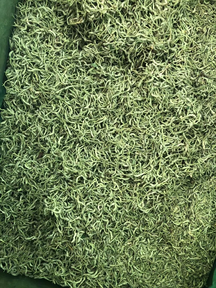 2024新货金银花 河北货茶饮花   绿花