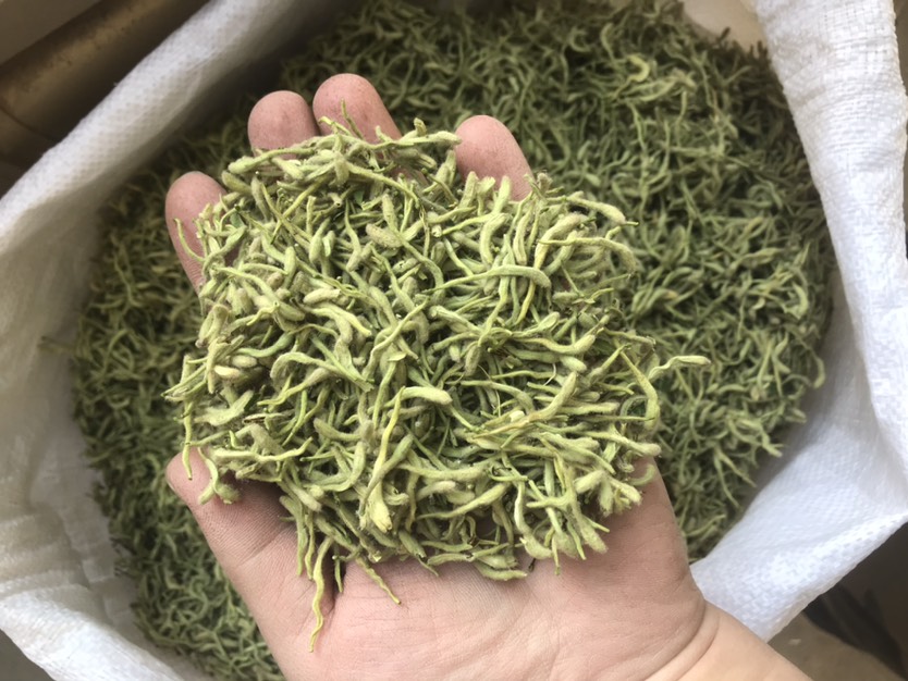 2024新货金银花 河北货茶饮花   绿花
