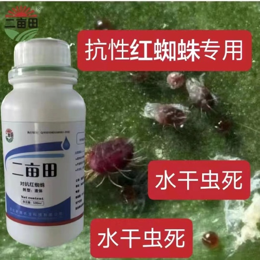 邯郸对抗红蜘蛛、安全性强、无、毒、无农残