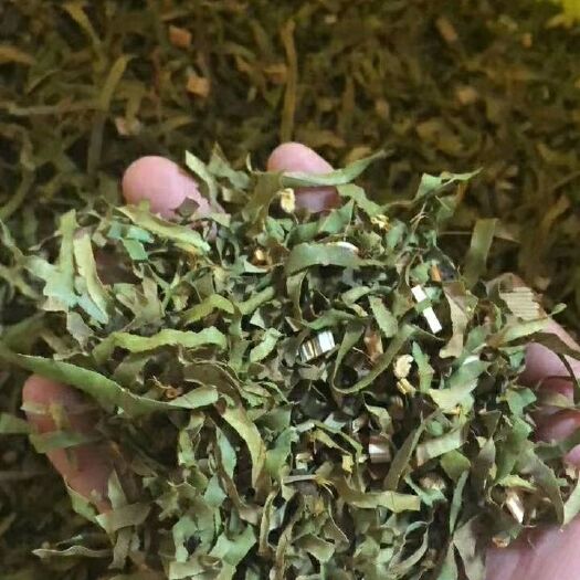 博罗县罗浮山甜茶野生天然惠州特产酥醪茶500g凉茶