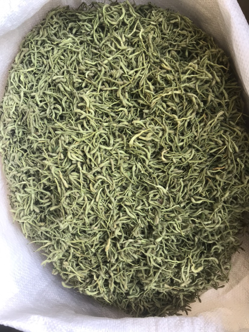 2024新货金银花 河北货茶饮花   绿花