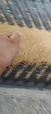 济南豆粕小料
