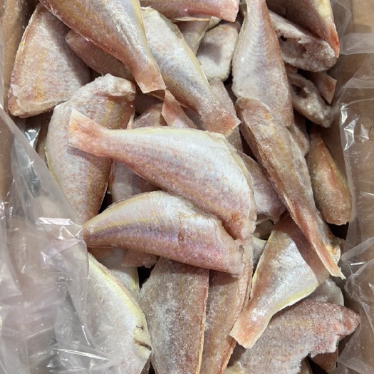 广州三去红杉鱼70/100