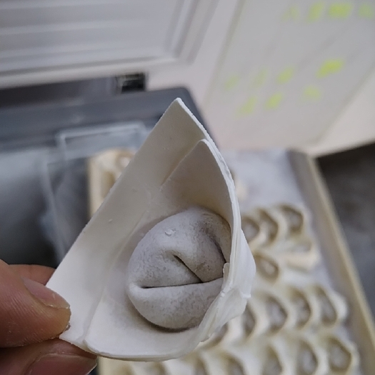 济南手工大馅馄饨
