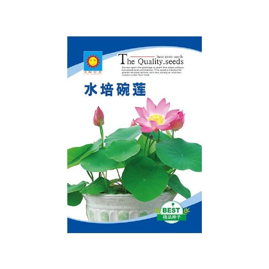 长沙原装水培碗莲种子睡莲小型荷花种藕花卉种籽四季庭院阳台水养盆栽
