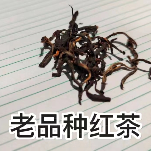 思茅云南红茶，红真