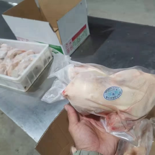 莘县电商专用老母鸡