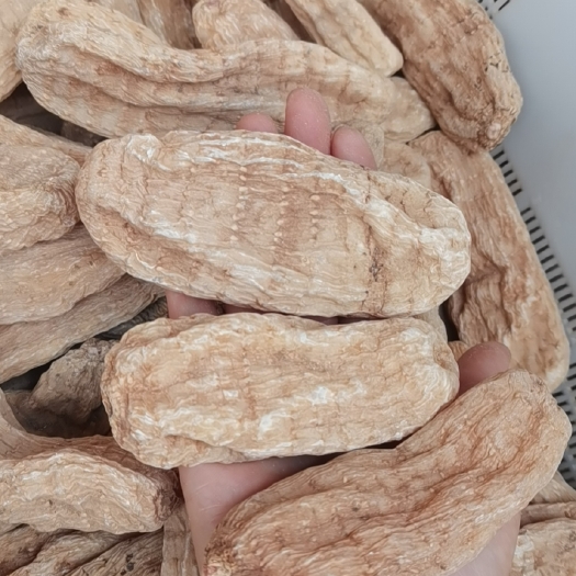 文山市云南丽江红天麻
打粉.切片.整个