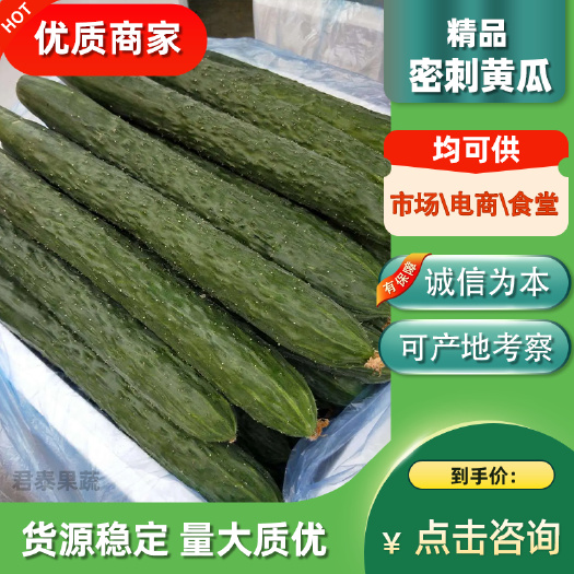 徐闻县密刺黄瓜 青瓜 广东湛江徐闻 市场货电商货食堂货 按需分拣