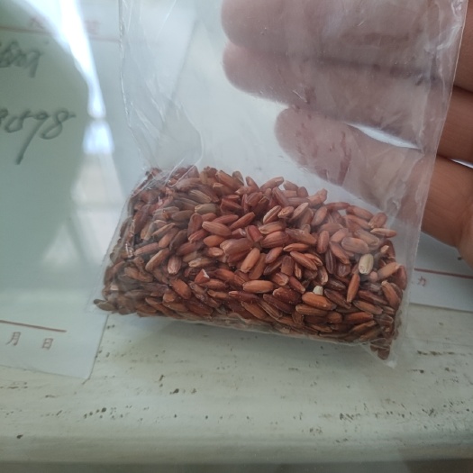衡阳县红米，粥米，自家种十亩田。