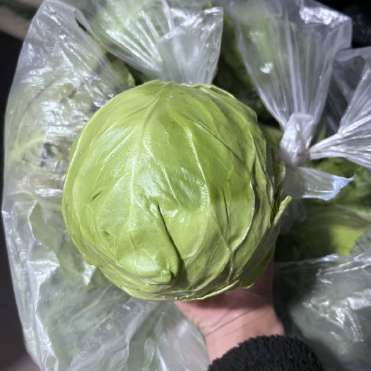 漳州包菜