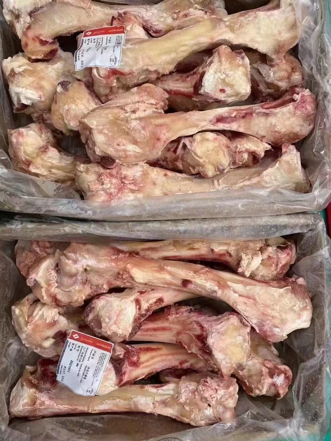 394带肉牛腿骨