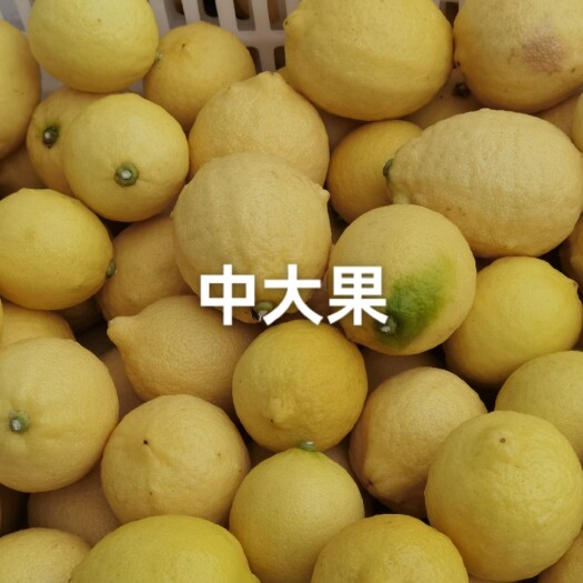 安岳县安岳柠檬中果150g左右