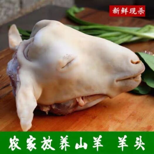 新泰市羊头整只新鲜带皮羊头肉羊脸肉羊头整个新鲜带骨冷冻生羊头