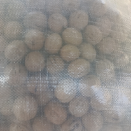 苍南县清香核桃皮薄带有点清香
