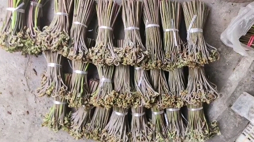 安顺大山里的舌尖上的美食