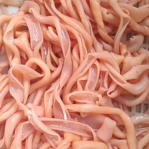 成都鸭肠 火锅食材 冒菜食材 干净 实物拍摄.