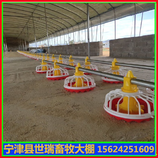 宁津县肉鸡养殖大棚建设鸡舍大棚搭建养鸡棚材料安装
