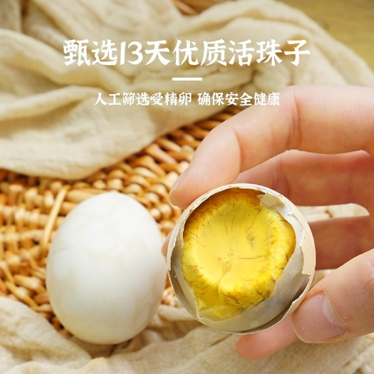 虞城县希月 13天新鲜活珠子凤凰蛋喜蛋，营养价值高，无毛无骨