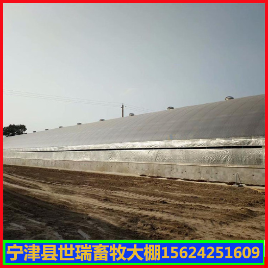 宁津县搭建养鸭大棚鸭舍大棚建设肉鸭养殖大棚施工