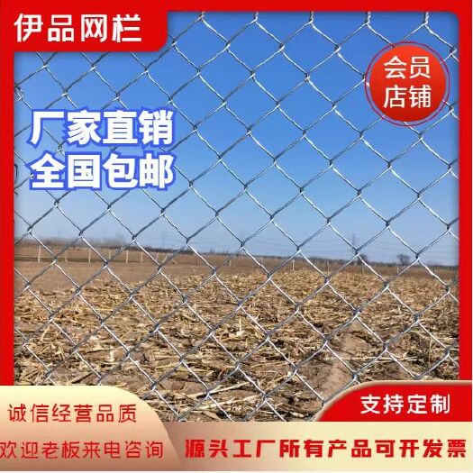 防锈热镀网防勾花网格栅网菱形网斜方网养殖网种植防护动物笼子网