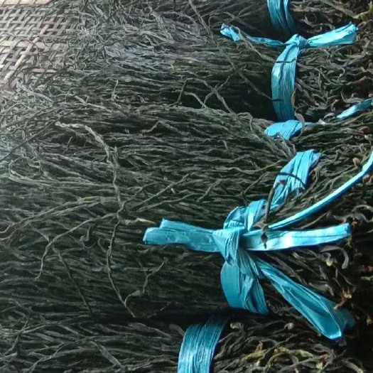 成武县干豆角-产地工厂直供，烘干豆角-绿条，晒干豆角-晒条通货精品