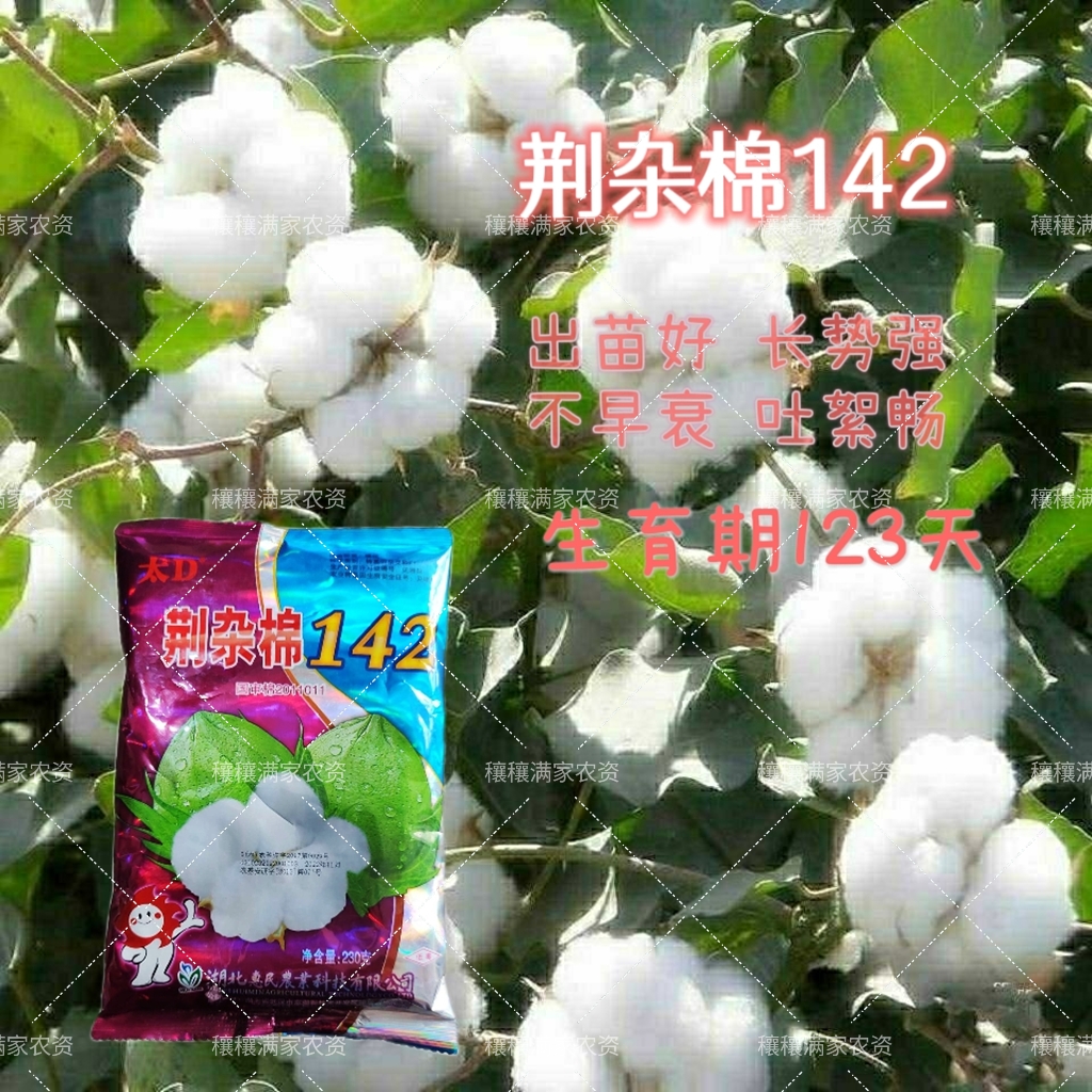 ع142޻ Ƥü񻨿没