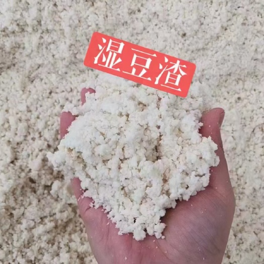 枣庄优质湿豆渣
