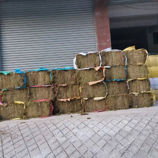 乐昌市干青苔，大量现货，可液压打包出货。