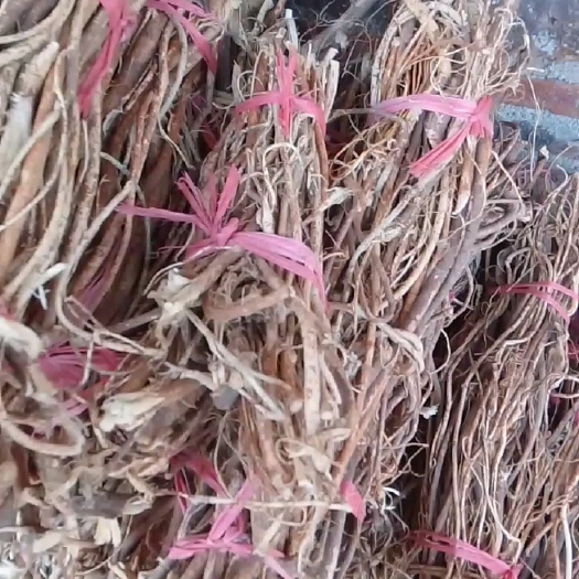 连州市清远三连五指毛桃，有需要的联系