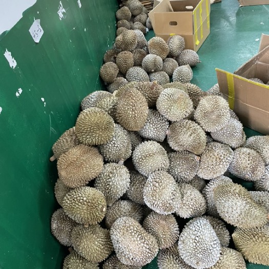 广州液氮金枕，液氮干尧支持一件代发，品质有保证